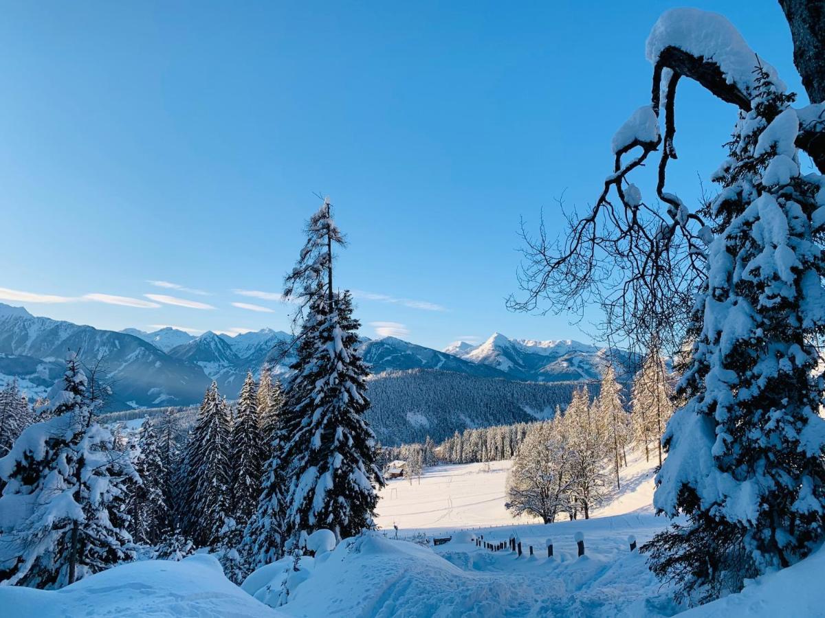 Bergkristallhaus رامساو أم داتشستين المظهر الخارجي الصورة