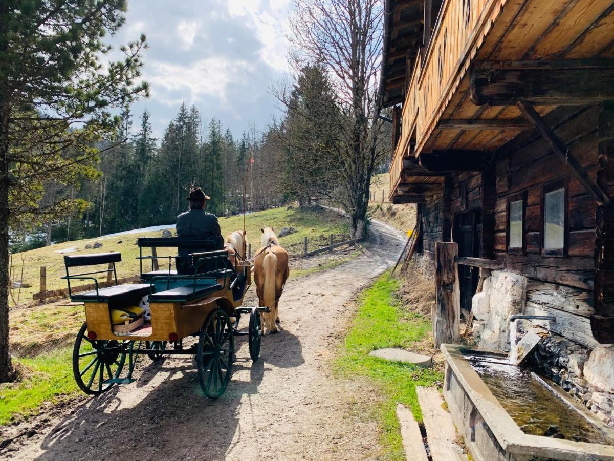 Bergkristallhaus رامساو أم داتشستين المظهر الخارجي الصورة